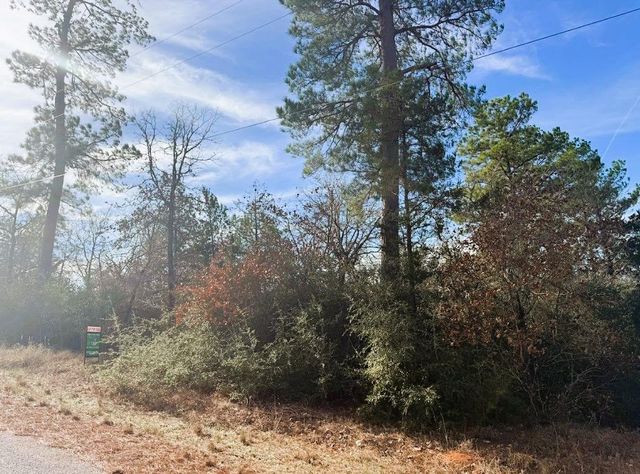 106 Olomana CT, Bastrop, TX 78602