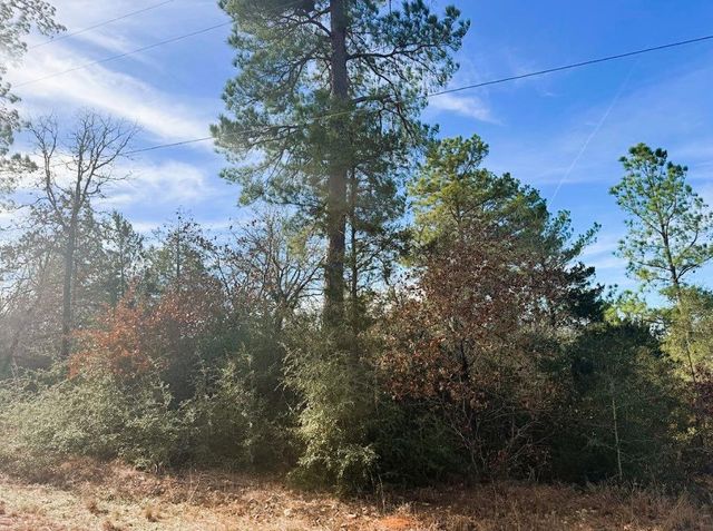 106 Olomana CT, Bastrop, TX 78602