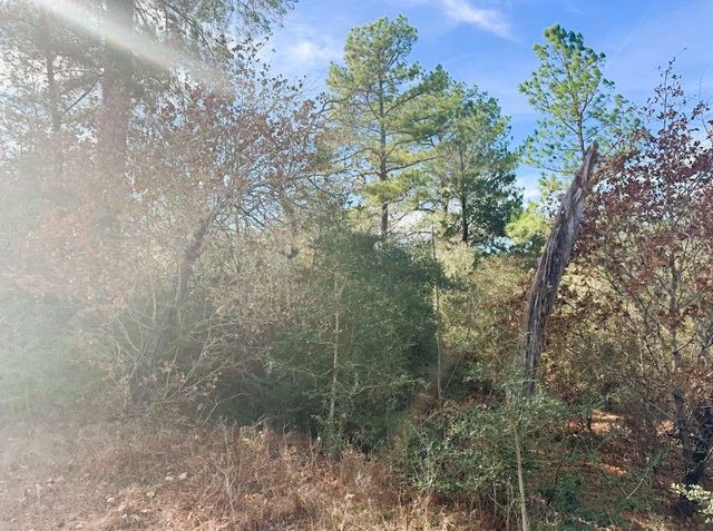 106 Olomana CT, Bastrop, TX 78602