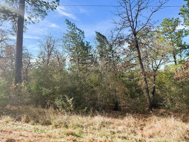 106 Olomana CT, Bastrop, TX 78602