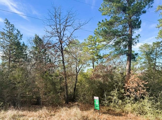 106 Olomana CT, Bastrop, TX 78602