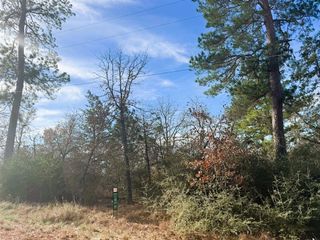 106 Olomana CT, Bastrop, TX 78602