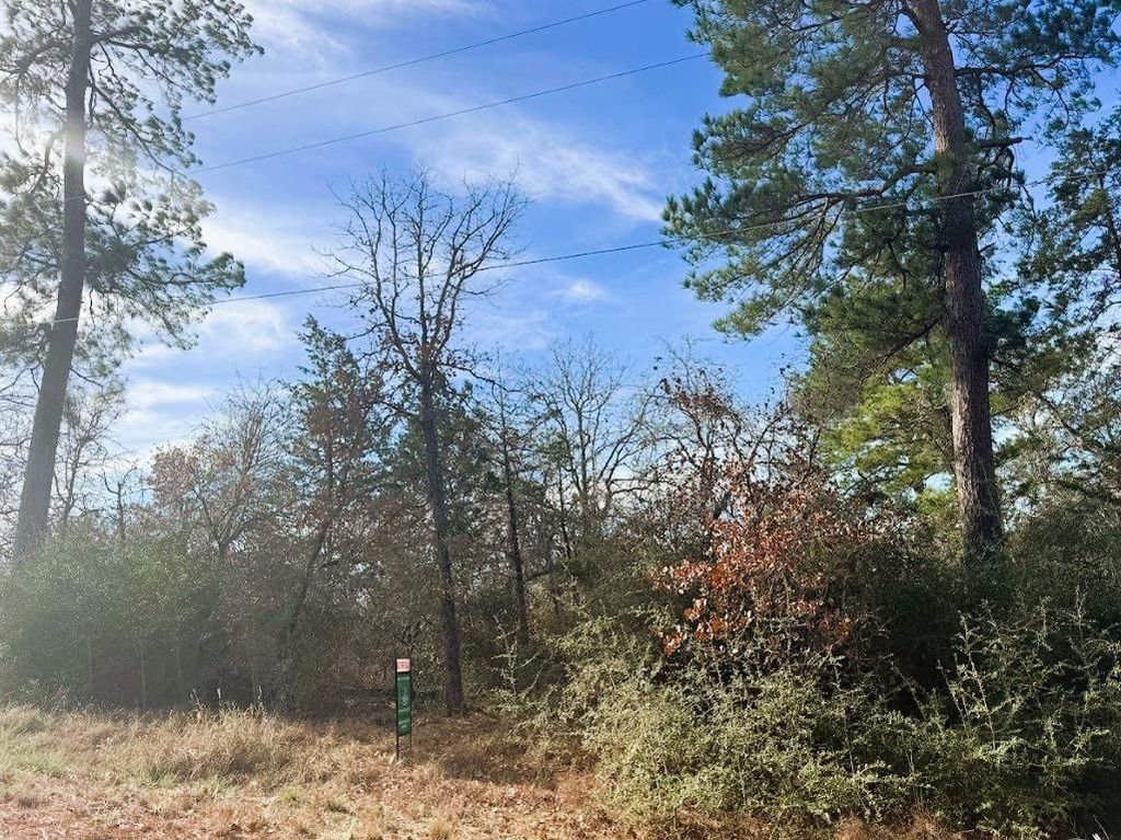 106 Olomana CT, Bastrop, TX 78602