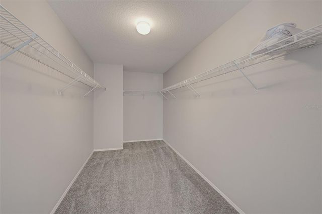 11159 RUNNING PINE DRIVE, Riverview, FL 33569