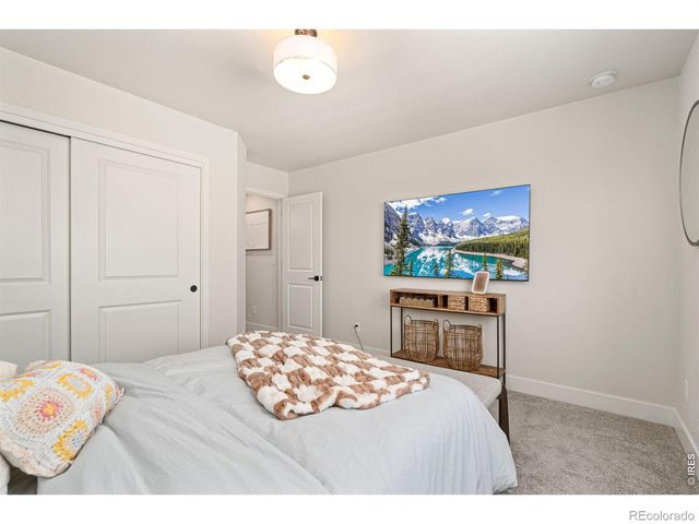 648 Greenspire Drive V-7, Windsor, CO 80550