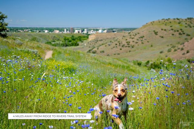 2595 S Greenwood Cir, Boise, ID 83706