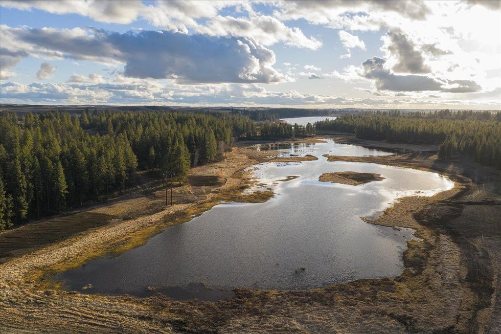 1403 W Jennings Rd, Spangle, WA 99207 photo 14