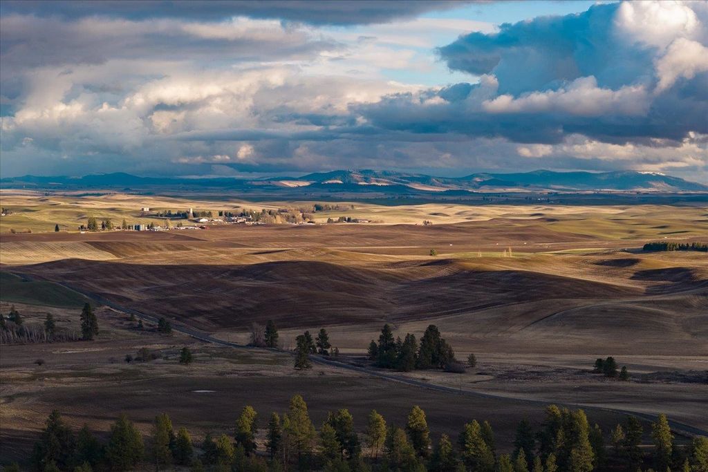 1403 W Jennings Rd, Spangle, WA 99207 photo 23