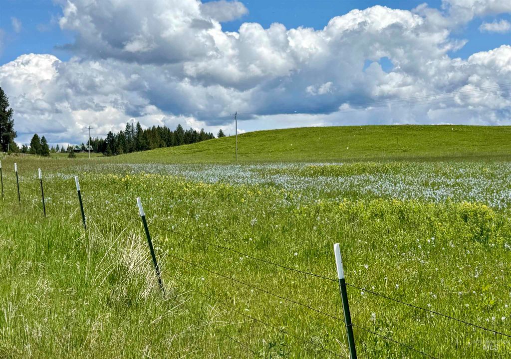 1726 Kidder Ridge Rd, Kamiah, ID 83536 photo 11