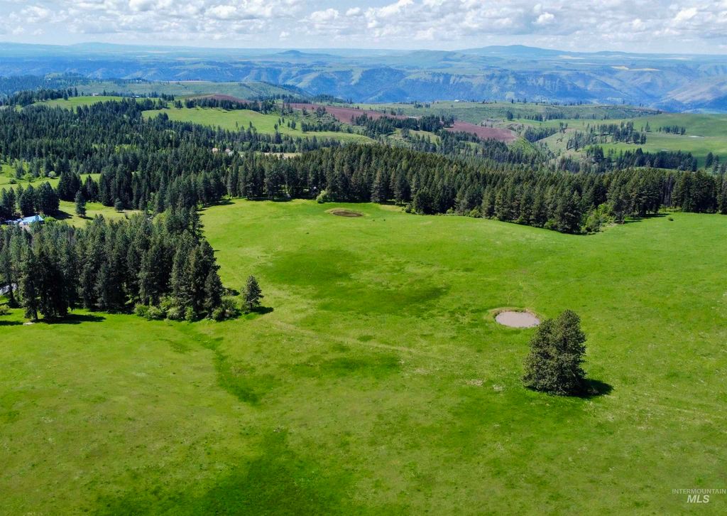 1726 Kidder Ridge Rd, Kamiah, ID 83536 photo 16