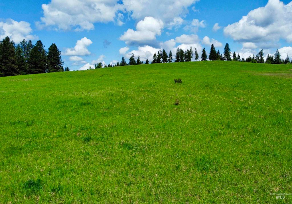 1726 Kidder Ridge Rd, Kamiah, ID 83536 photo 17