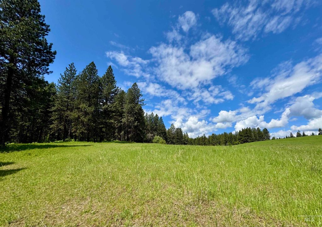 1726 Kidder Ridge Rd, Kamiah, ID 83536 photo 18