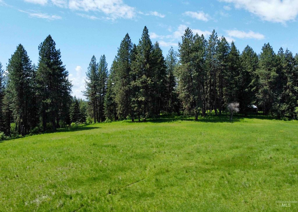 1726 Kidder Ridge Rd, Kamiah, ID 83536 photo 20