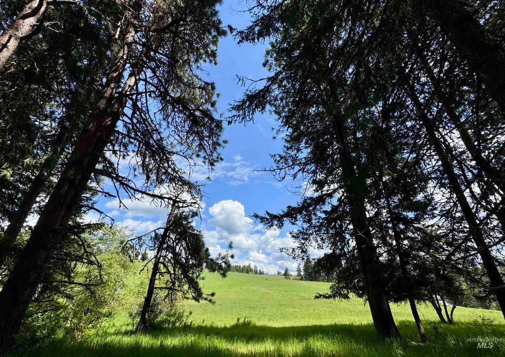 1726 Kidder Ridge Rd, Kamiah, ID 83536 photo 26