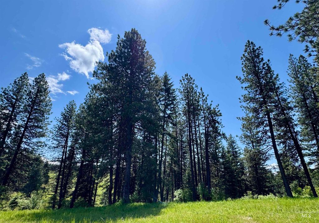 1726 Kidder Ridge Rd, Kamiah, ID 83536 photo 27