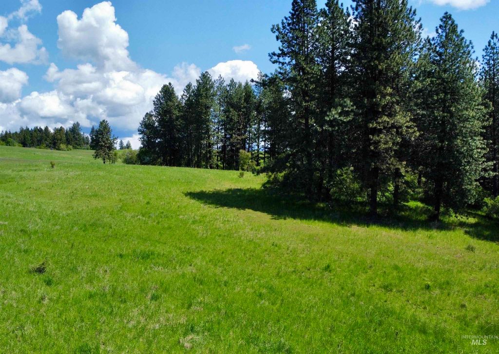1726 Kidder Ridge Rd, Kamiah, ID 83536 photo 28