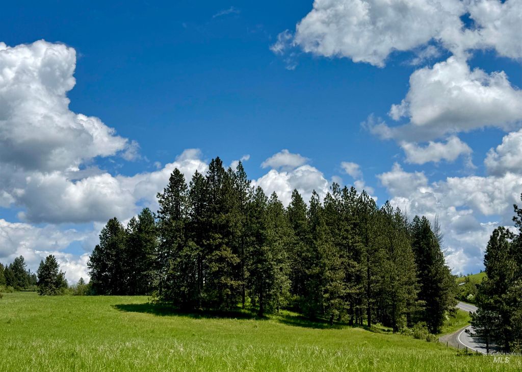 1726 Kidder Ridge Rd, Kamiah, ID 83536 photo 29