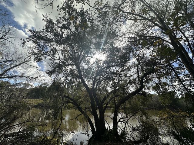 0 County Road 244a, Brazoria, TX 77422