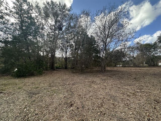 0 County Road 244a, Brazoria, TX 77422