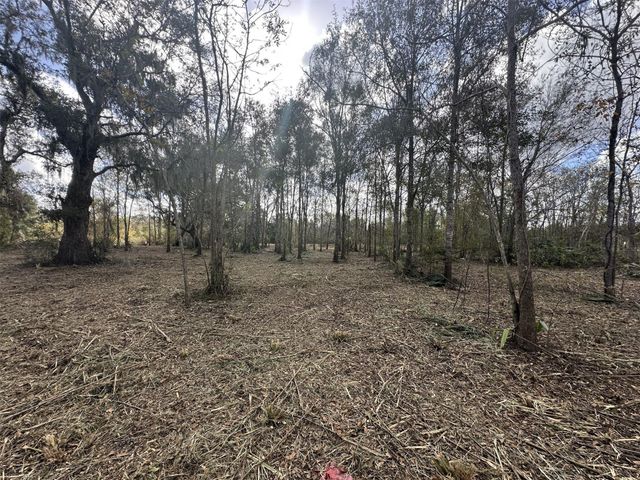 0 County Road 244a, Brazoria, TX 77422