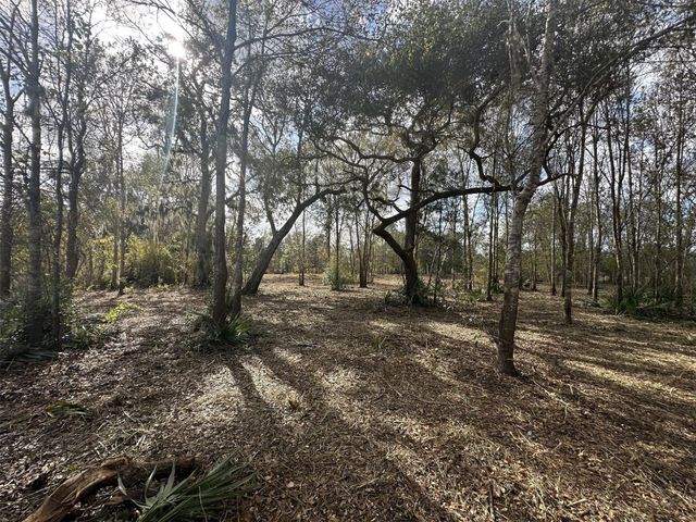 0 County Road 244a, Brazoria, TX 77422