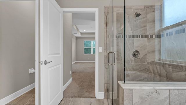 19455 REDWOOD POINT DRIVE, Tampa, FL 33647
