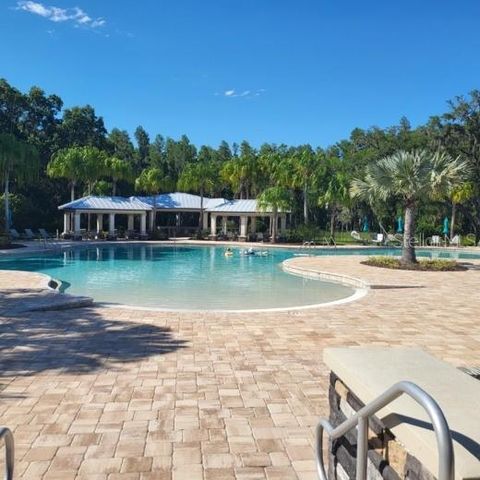 19455 REDWOOD POINT DRIVE, Tampa, FL 33647