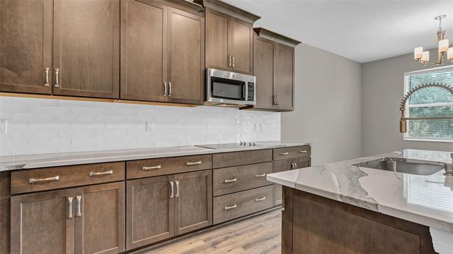 19455 REDWOOD POINT DRIVE, Tampa, FL 33647