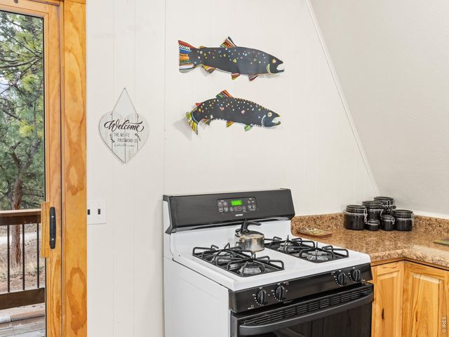 2415 Wild Bear Way, Estes Park, CO 80517