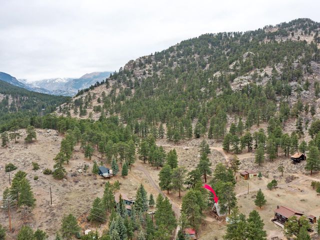 2415 Wild Bear Way, Estes Park, CO 80517