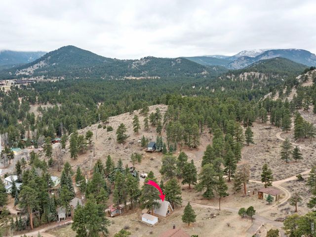 2415 Wild Bear Way, Estes Park, CO 80517