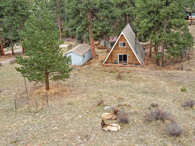 2415 Wild Bear Way, Estes Park, CO 80517