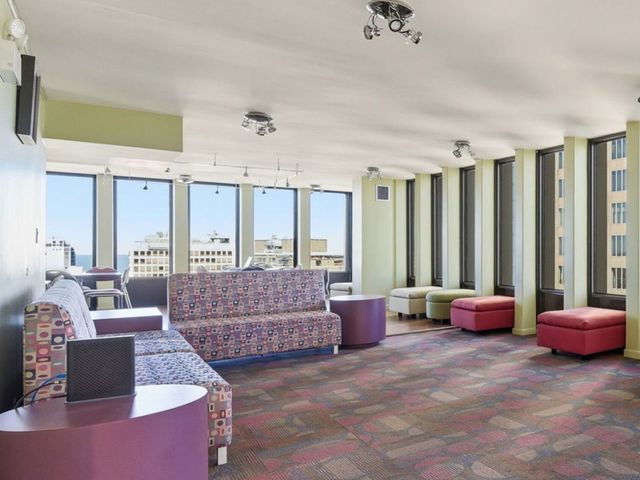 100 E Walton Place 10C, Chicago, IL 60611