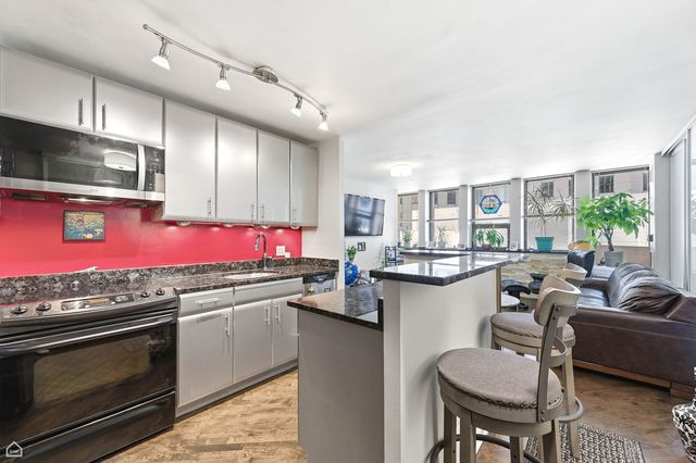 100 E Walton Place 10C, Chicago, IL 60611