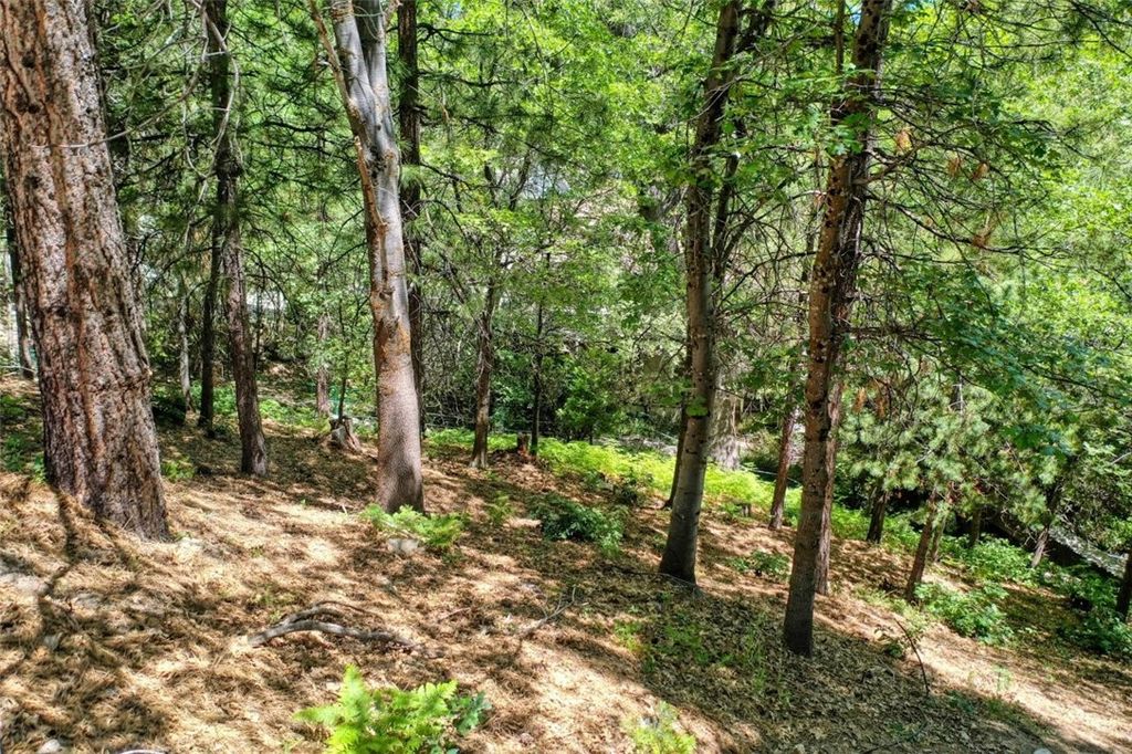 Image 11 of property listing at 27457 North Bay, Lake Arrowhead, CA 92352