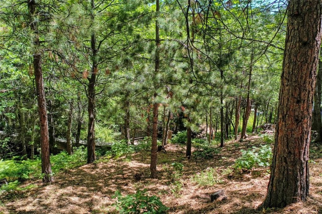 Image 14 of property listing at 27457 North Bay, Lake Arrowhead, CA 92352