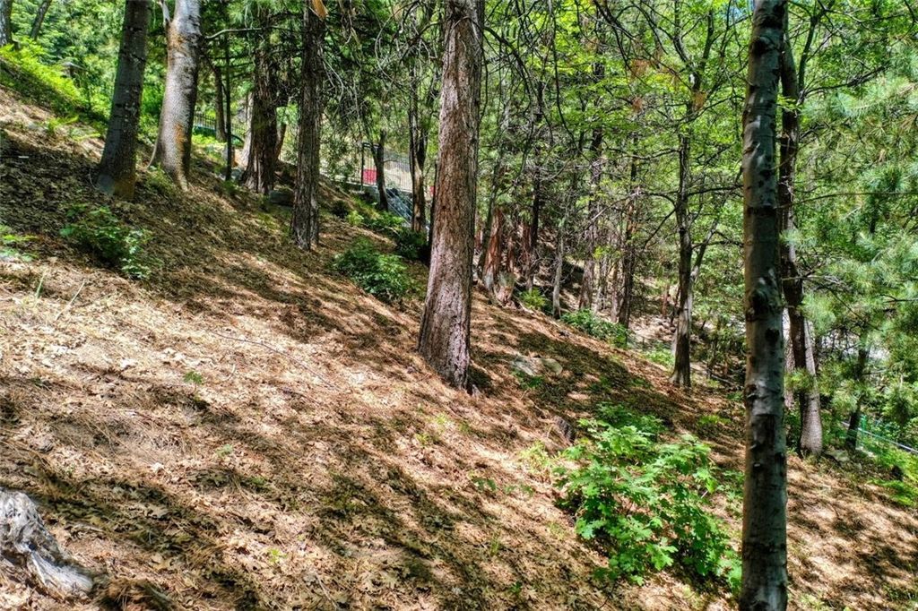 Image 15 of property listing at 27457 North Bay, Lake Arrowhead, CA 92352