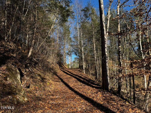 4264 Old Asheville Highway, Flag Pond, TN 37657