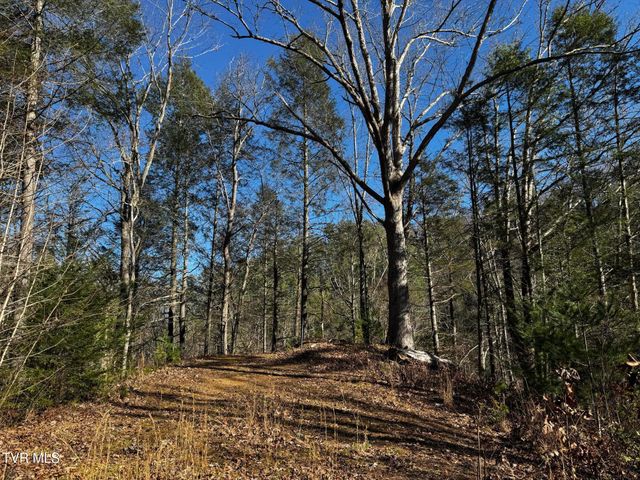 4264 Old Asheville Highway, Flag Pond, TN 37657