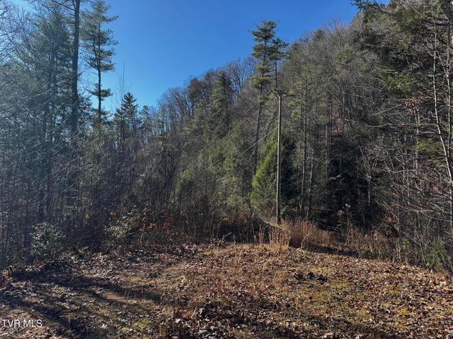 4264 Old Asheville Highway, Flag Pond, TN 37657