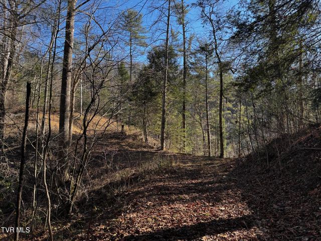 4264 Old Asheville Highway, Flag Pond, TN 37657