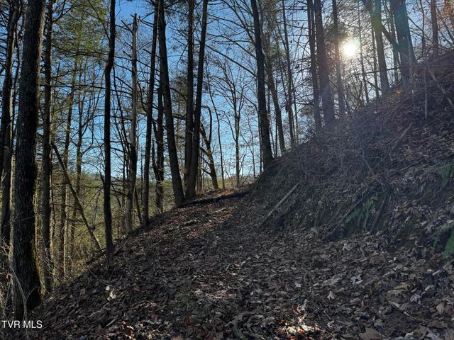 4264 Old Asheville Highway, Flag Pond, TN 37657