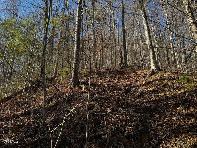4264 Old Asheville Highway, Flag Pond, TN 37657