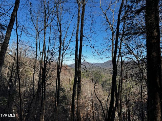 4264 Old Asheville Highway, Flag Pond, TN 37657