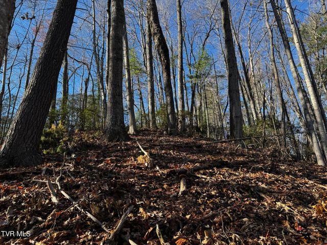4264 Old Asheville Highway, Flag Pond, TN 37657