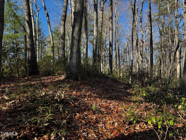 4264 Old Asheville Highway, Flag Pond, TN 37657