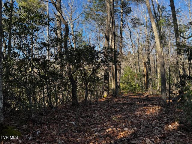 4264 Old Asheville Highway, Flag Pond, TN 37657