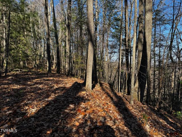 4264 Old Asheville Highway, Flag Pond, TN 37657