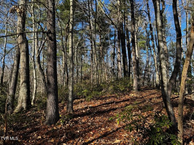 4264 Old Asheville Highway, Flag Pond, TN 37657