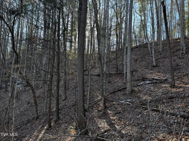 4264 Old Asheville Highway, Flag Pond, TN 37657